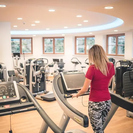 Salvator Iris Porsche